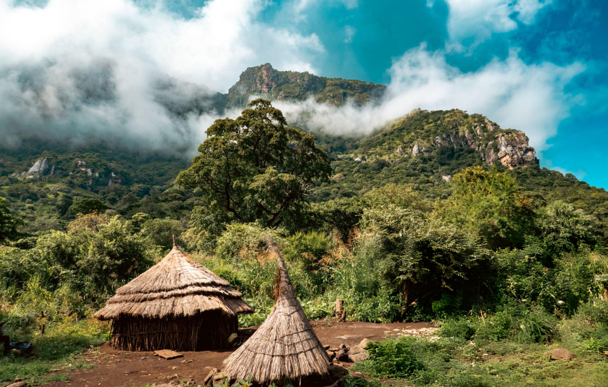 Waterfall cascading through dense tropical greenery.